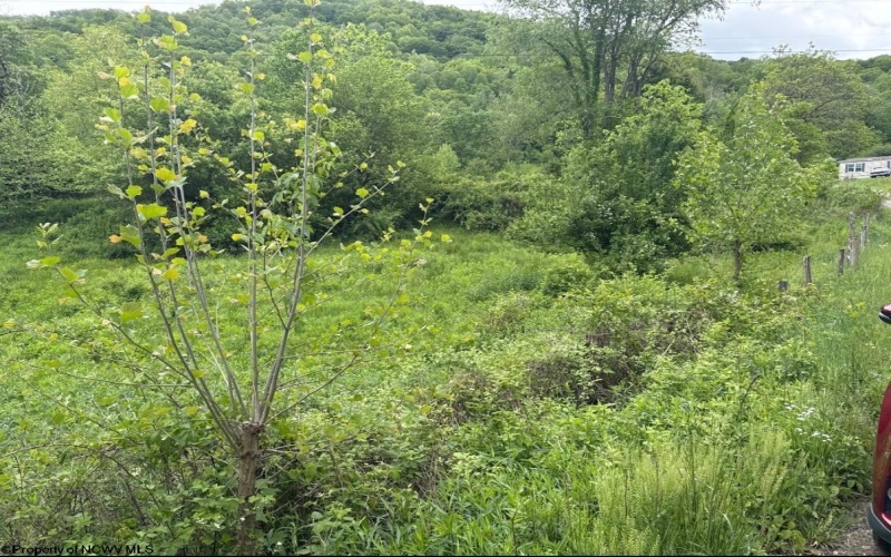 TBD Route 32 (RR), Dryfork, West Virginia 26263, 0 , 0 ,0,Lots/land,For Sale,Route 32,0,10166897