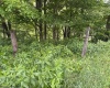 TBD Route 32 (RR), Dryfork, West Virginia 26263, 0 , 0 ,0,Lots/land,For Sale,Route 32,0,10166897
