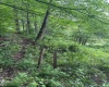 TBD Route 32 (RR), Dryfork, West Virginia 26263, 0 , 0 ,0,Lots/land,For Sale,Route 32,0,10166897