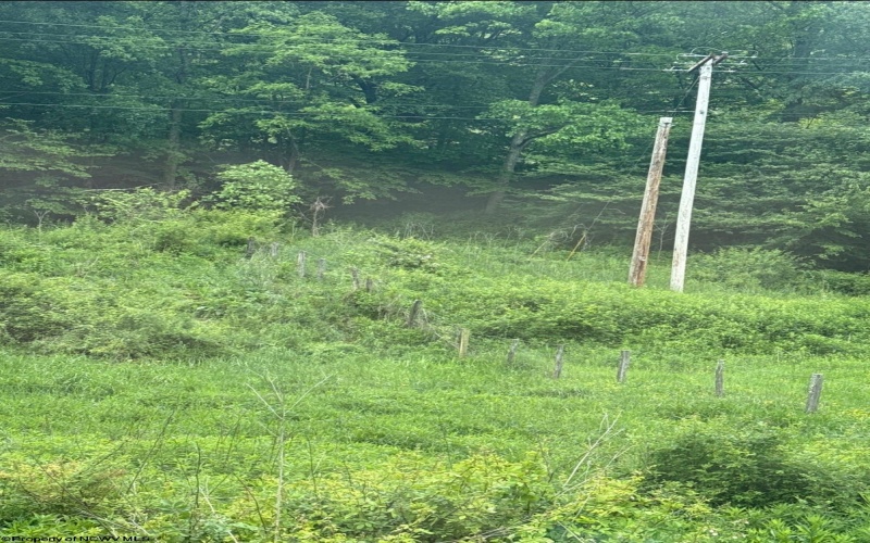 TBD Route 32 (RR), Dryfork, West Virginia 26263, 0 , 0 ,0,Lots/land,For Sale,Route 32,0,10166897