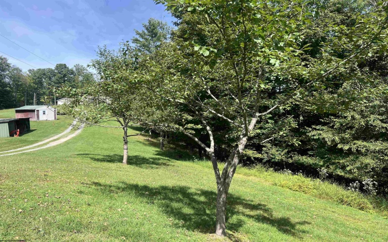 5118 Indian Camp Road, French Creek, West Virginia 26218, 3 Bedroom Bedrooms, 6 Room Rooms,2 BathroomBathrooms,Single Family Detached,For Sale,Indian Camp,0,10166900