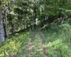 5118 Indian Camp Road, French Creek, West Virginia 26218, 3 Bedroom Bedrooms, 6 Room Rooms,2 BathroomBathrooms,Single Family Detached,For Sale,Indian Camp,0,10166900