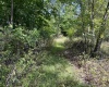5118 Indian Camp Road, French Creek, West Virginia 26218, 3 Bedroom Bedrooms, 6 Room Rooms,2 BathroomBathrooms,Single Family Detached,For Sale,Indian Camp,0,10166900