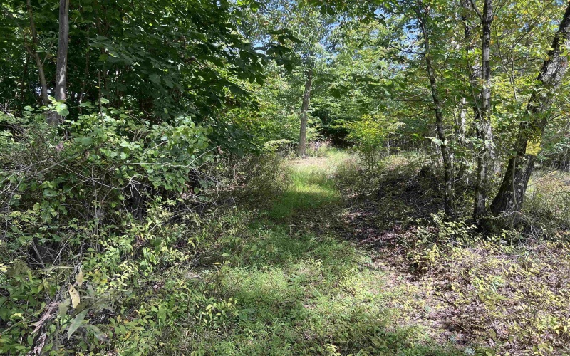 5118 Indian Camp Road, French Creek, West Virginia 26218, 3 Bedroom Bedrooms, 6 Room Rooms,2 BathroomBathrooms,Single Family Detached,For Sale,Indian Camp,0,10166900