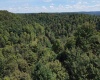 5118 Indian Camp Road, French Creek, West Virginia 26218, 3 Bedroom Bedrooms, 6 Room Rooms,2 BathroomBathrooms,Single Family Detached,For Sale,Indian Camp,0,10166900