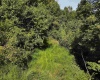 5118 Indian Camp Road, French Creek, West Virginia 26218, 3 Bedroom Bedrooms, 6 Room Rooms,2 BathroomBathrooms,Single Family Detached,For Sale,Indian Camp,0,10166900