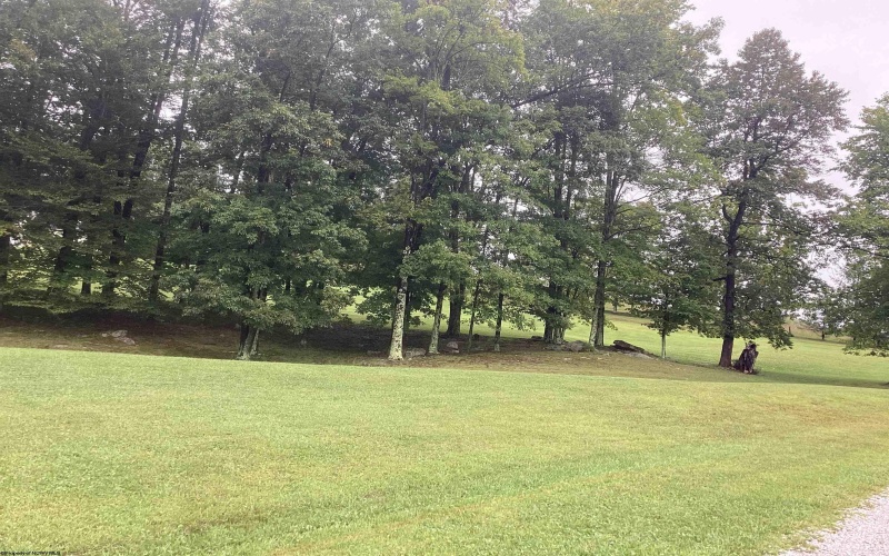 1196 Derico Road, Buckhannon, West Virginia 26201, 4 Bedroom Bedrooms, 9 Room Rooms,3 BathroomBathrooms,Single Family Detached,For Sale,Derico,0,10166911 1196 Derico Road, Buckhannon, West Virginia 26201, 4 Bedroom Bedrooms, 9 Room Rooms,3 BathroomBathrooms,Single Family Detached,For Sale,Derico,0,10166911