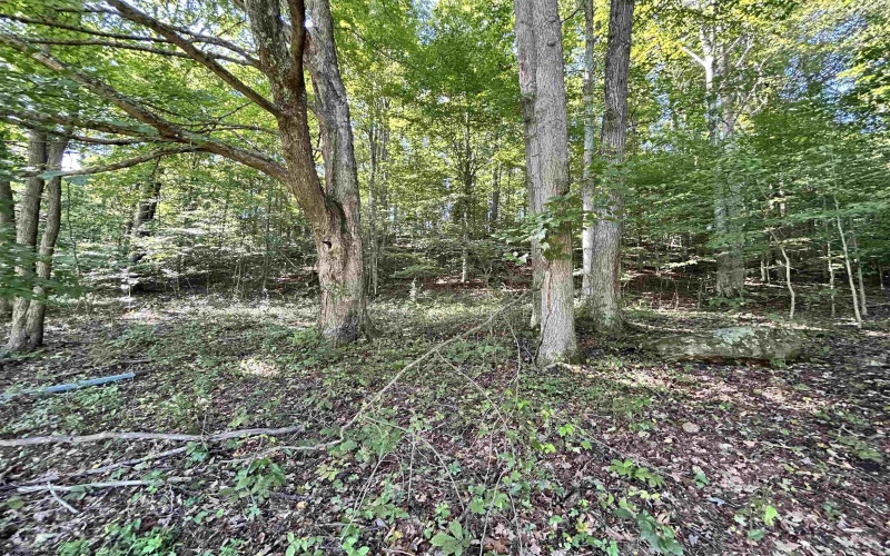639 Burns Farm Road, Grafton, West Virginia 26354-8710, 3 Bedroom Bedrooms, 7 Room Rooms,2 BathroomBathrooms,Single Family Detached,For Sale,Burns Farm,0,10166925