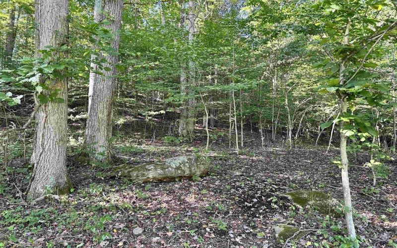639 Burns Farm Road, Grafton, West Virginia 26354-8710, 3 Bedroom Bedrooms, 7 Room Rooms,2 BathroomBathrooms,Single Family Detached,For Sale,Burns Farm,0,10166925
