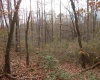 0 Fairmont Avenue, Fairmont, West Virginia 26554, 0 , 0 ,0,Lots/land,For Sale,Fairmont,0,10122245