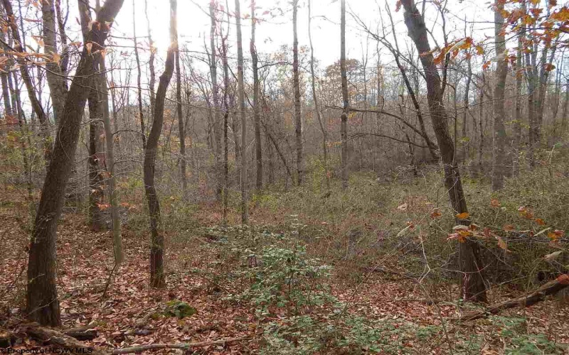 0 Fairmont Avenue, Fairmont, West Virginia 26554, 0 , 0 ,0,Lots/land,For Sale,Fairmont,0,10122245