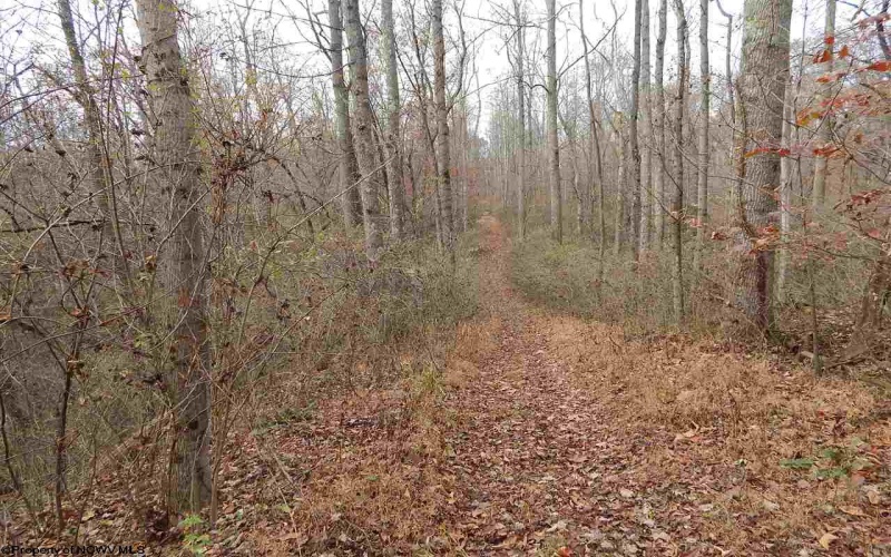 0 Fairmont Avenue, Fairmont, West Virginia 26554, 0 , 0 ,0,Lots/land,For Sale,Fairmont,0,10122245