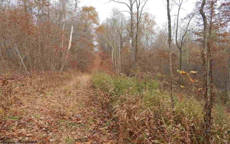 0 Fairmont Avenue, Fairmont, West Virginia 26554, 0 , 0 ,0,Lots/land,For Sale,Fairmont,0,10122245