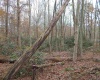 0 Fairmont Avenue, Fairmont, West Virginia 26554, 0 , 0 ,0,Lots/land,For Sale,Fairmont,0,10122245