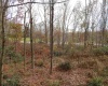 0 Fairmont Avenue, Fairmont, West Virginia 26554, 0 , 0 ,0,Lots/land,For Sale,Fairmont,0,10122245