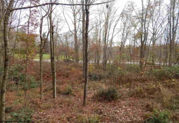 0 Fairmont Avenue, Fairmont, West Virginia 26554, 0 , 0 ,0,Lots/land,For Sale,Fairmont,0,10122245
