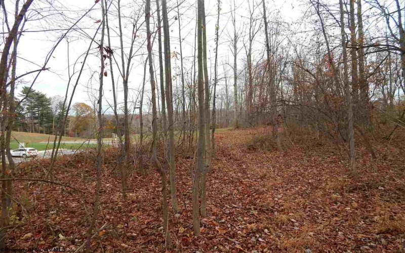 0 Fairmont Avenue, Fairmont, West Virginia 26554, 0 , 0 ,0,Lots/land,For Sale,Fairmont,0,10122245