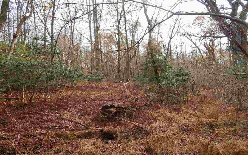 0 Fairmont Avenue, Fairmont, West Virginia 26554, 0 , 0 ,0,Lots/land,For Sale,Fairmont,0,10122245