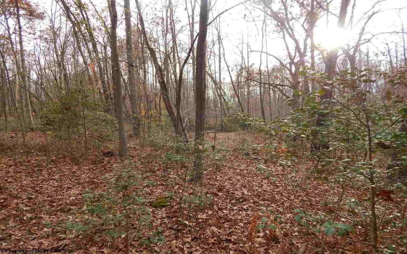 0 Fairmont Avenue, Fairmont, West Virginia 26554, 0 , 0 ,0,Lots/land,For Sale,Fairmont,0,10122245