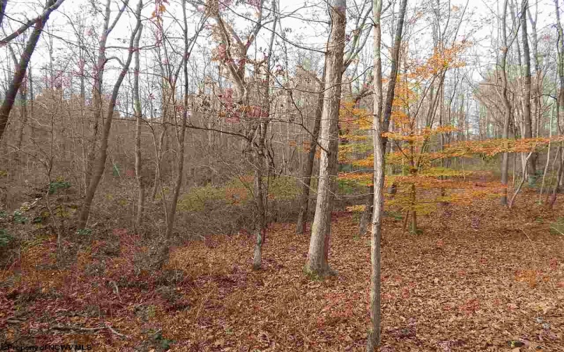 0 Fairmont Avenue, Fairmont, West Virginia 26554, 0 , 0 ,0,Lots/land,For Sale,Fairmont,0,10122245
