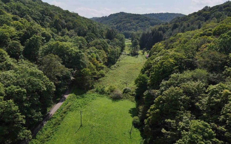 1742 Rush Run Road, Burton, West Virginia 26562, 0 , 0 ,0,Lots/land,For Sale,Rush Run,0,10166931