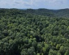 1742 Rush Run Road, Burton, West Virginia 26562, 0 , 0 ,0,Lots/land,For Sale,Rush Run,0,10166931
