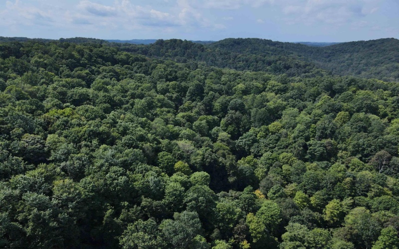 1742 Rush Run Road, Burton, West Virginia 26562, 0 , 0 ,0,Lots/land,For Sale,Rush Run,0,10166931