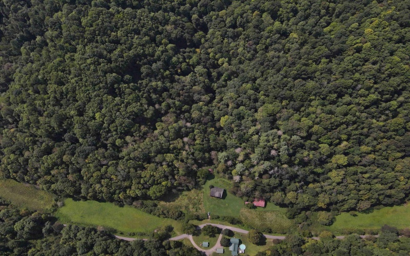 1742 Rush Run Road, Burton, West Virginia 26562, 0 , 0 ,0,Lots/land,For Sale,Rush Run,0,10166931