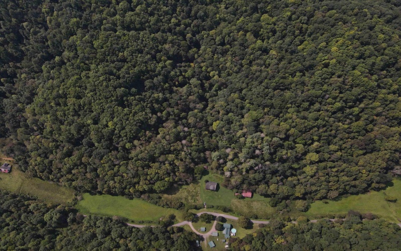 1742 Rush Run Road, Burton, West Virginia 26562, 0 , 0 ,0,Lots/land,For Sale,Rush Run,0,10166931