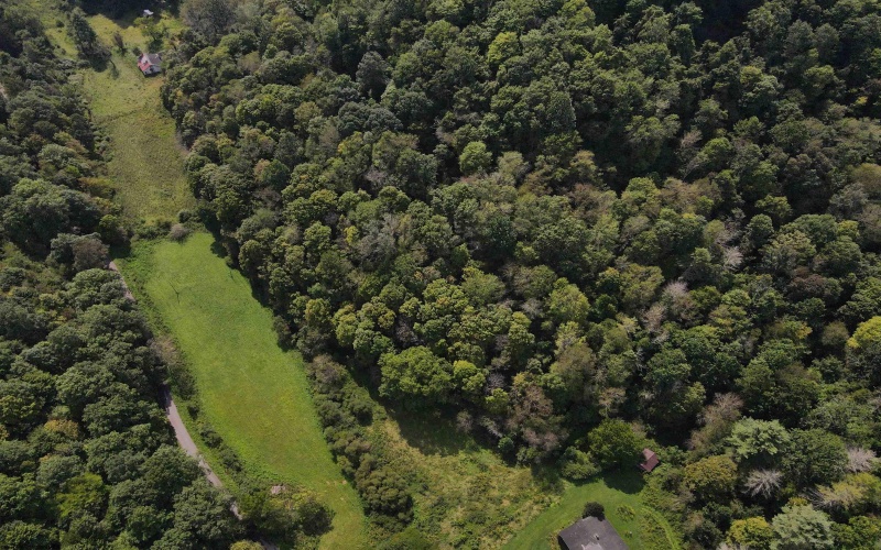 1742 Rush Run Road, Burton, West Virginia 26562, 0 , 0 ,0,Lots/land,For Sale,Rush Run,0,10166931