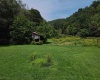 1742 Rush Run Road, Burton, West Virginia 26562, 0 , 0 ,0,Lots/land,For Sale,Rush Run,0,10166931