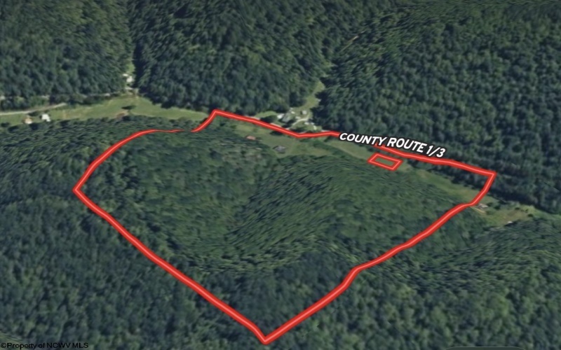1742 Rush Run Road, Burton, West Virginia 26562, 0 , 0 ,0,Lots/land,For Sale,Rush Run,0,10166931