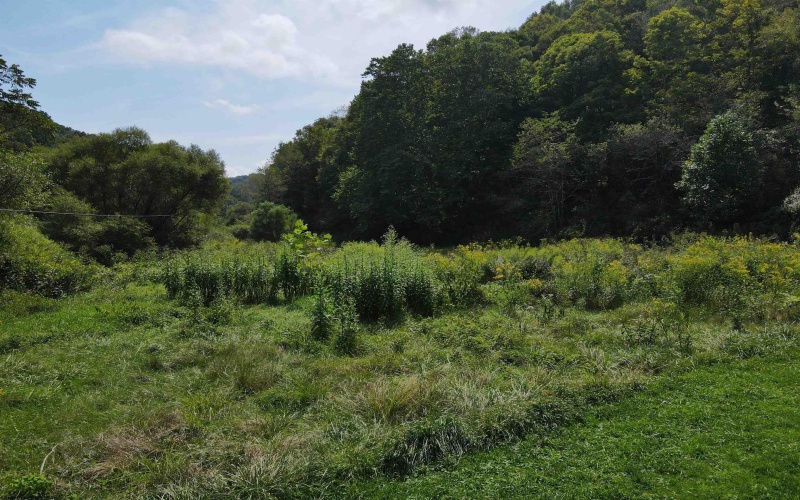 1742 Rush Run Road, Burton, West Virginia 26562, 0 , 0 ,0,Lots/land,For Sale,Rush Run,0,10166931