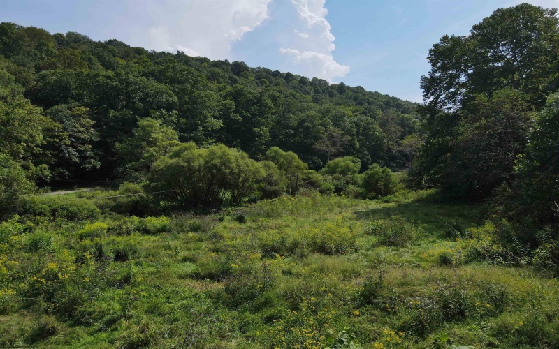 1742 Rush Run Road, Burton, West Virginia 26562, 0 , 0 ,0,Lots/land,For Sale,Rush Run,0,10166931