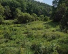 1742 Rush Run Road, Burton, West Virginia 26562, 0 , 0 ,0,Lots/land,For Sale,Rush Run,0,10166931