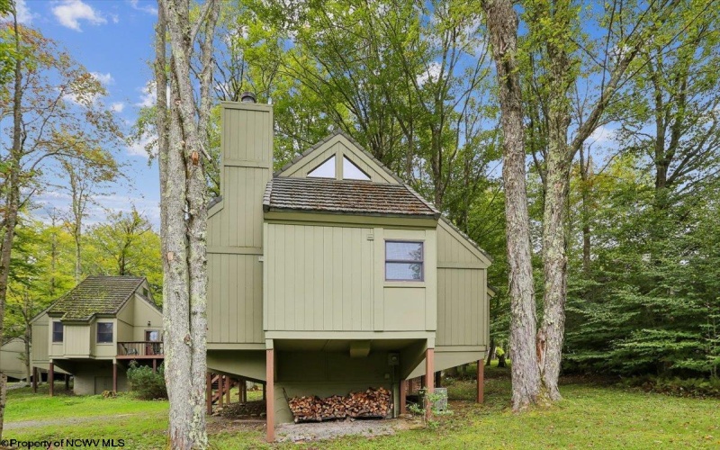 40 Whitetail Way, Davis, West Virginia 26260, 2 Bedroom Bedrooms, 4 Room Rooms,1 BathroomBathrooms,Single Family Detached,For Sale,Whitetail,0,10166934