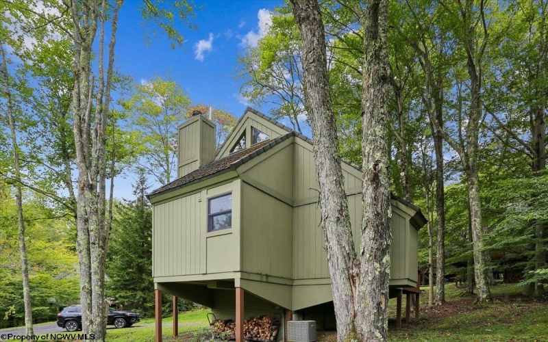 40 Whitetail Way, Davis, West Virginia 26260, 2 Bedroom Bedrooms, 4 Room Rooms,1 BathroomBathrooms,Single Family Detached,For Sale,Whitetail,0,10166934