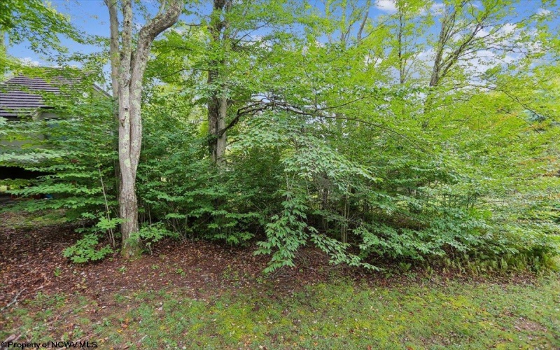 40 Whitetail Way, Davis, West Virginia 26260, 2 Bedroom Bedrooms, 4 Room Rooms,1 BathroomBathrooms,Single Family Detached,For Sale,Whitetail,0,10166934