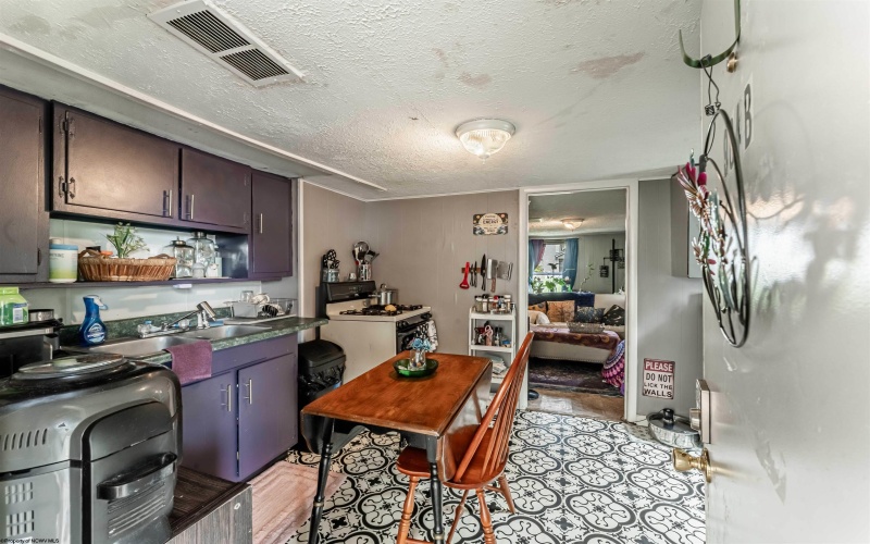 904 Louise Avenue, Morgantown, West Virginia 26505, 0 , 0 ,0,Multi-unit/income,For Sale,Louise,0,10166946