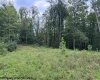 TBD Massie Hollow Road, Rivesville, West Virginia 26588, 0 , 0 ,0,Lots/land,For Sale,Massie Hollow,0,10166948