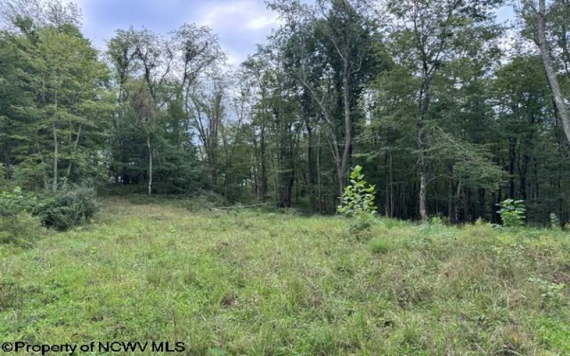 TBD Massie Hollow Road, Rivesville, West Virginia 26588, 0 , 0 ,0,Lots/land,For Sale,Massie Hollow,0,10166948