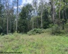 TBD Massie Hollow Road, Rivesville, West Virginia 26588, 0 , 0 ,0,Lots/land,For Sale,Massie Hollow,0,10166948