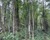 TBD Massie Hollow Road, Rivesville, West Virginia 26588, 0 , 0 ,0,Lots/land,For Sale,Massie Hollow,0,10166948