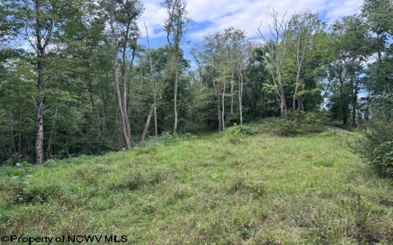 TBD Massie Hollow Road, Rivesville, West Virginia 26588, 0 , 0 ,0,Lots/land,For Sale,Massie Hollow,0,10166948