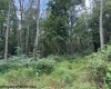 TBD Massie Hollow Road, Rivesville, West Virginia 26588, 0 , 0 ,0,Lots/land,For Sale,Massie Hollow,0,10166948