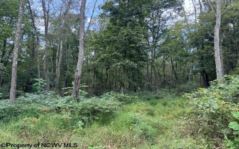 TBD Massie Hollow Road, Rivesville, West Virginia 26588, 0 , 0 ,0,Lots/land,For Sale,Massie Hollow,0,10166948