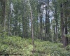 TBD Massie Hollow Road, Rivesville, West Virginia 26588, 0 , 0 ,0,Lots/land,For Sale,Massie Hollow,0,10166948