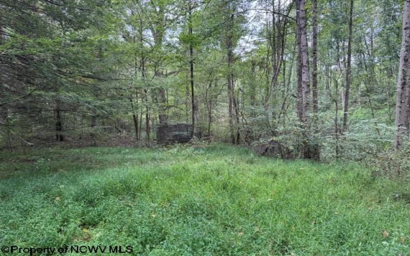 TBD Massie Hollow Road, Rivesville, West Virginia 26588, 0 , 0 ,0,Lots/land,For Sale,Massie Hollow,0,10166948