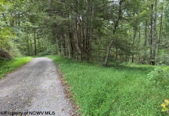 TBD Massie Hollow Road, Rivesville, West Virginia 26588, 0 , 0 ,0,Lots/land,For Sale,Massie Hollow,0,10166948