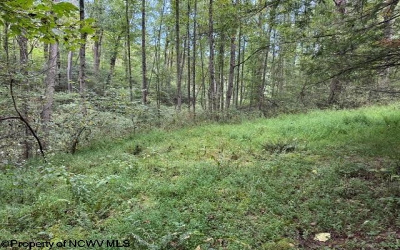 TBD Massie Hollow Road, Rivesville, West Virginia 26588, 0 , 0 ,0,Lots/land,For Sale,Massie Hollow,0,10166948